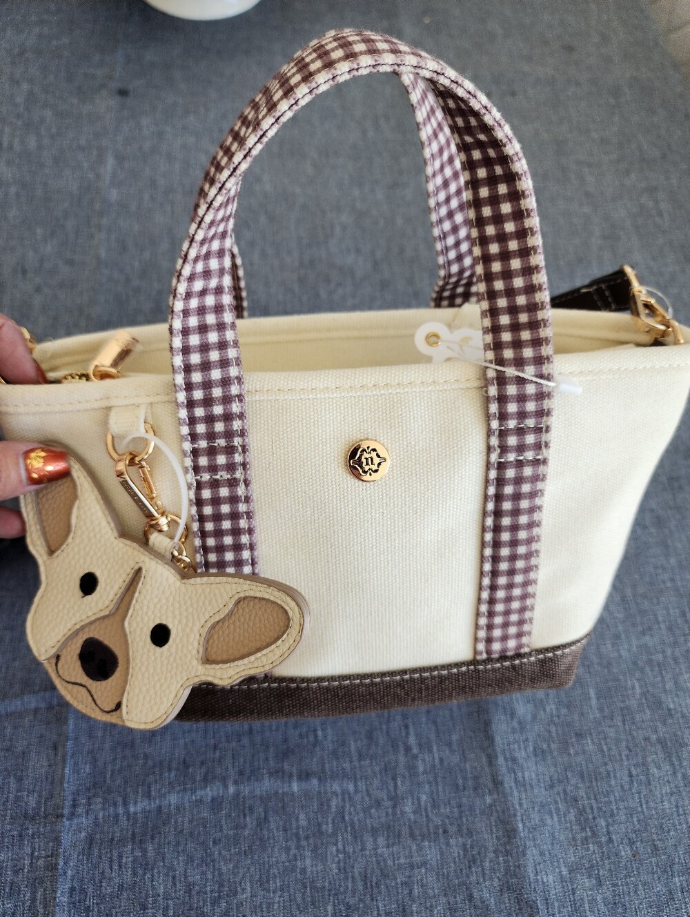 Nanette Lepoee Canvas Small Tote Bag Cream And Brown Gingham - Cream & Brown NWT